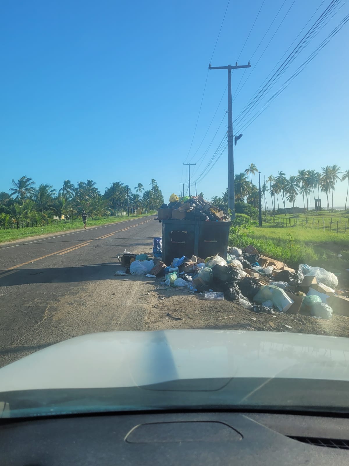 Lixo se acumula às margens da Rodovia Ilhéus-Olivença e moradores cobram providências