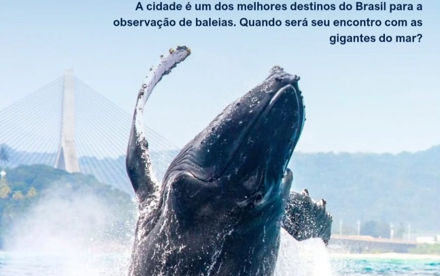 A cidade de Ilhéus se prepara para receber, no dia 8 dejunho, mais uma edição do evento