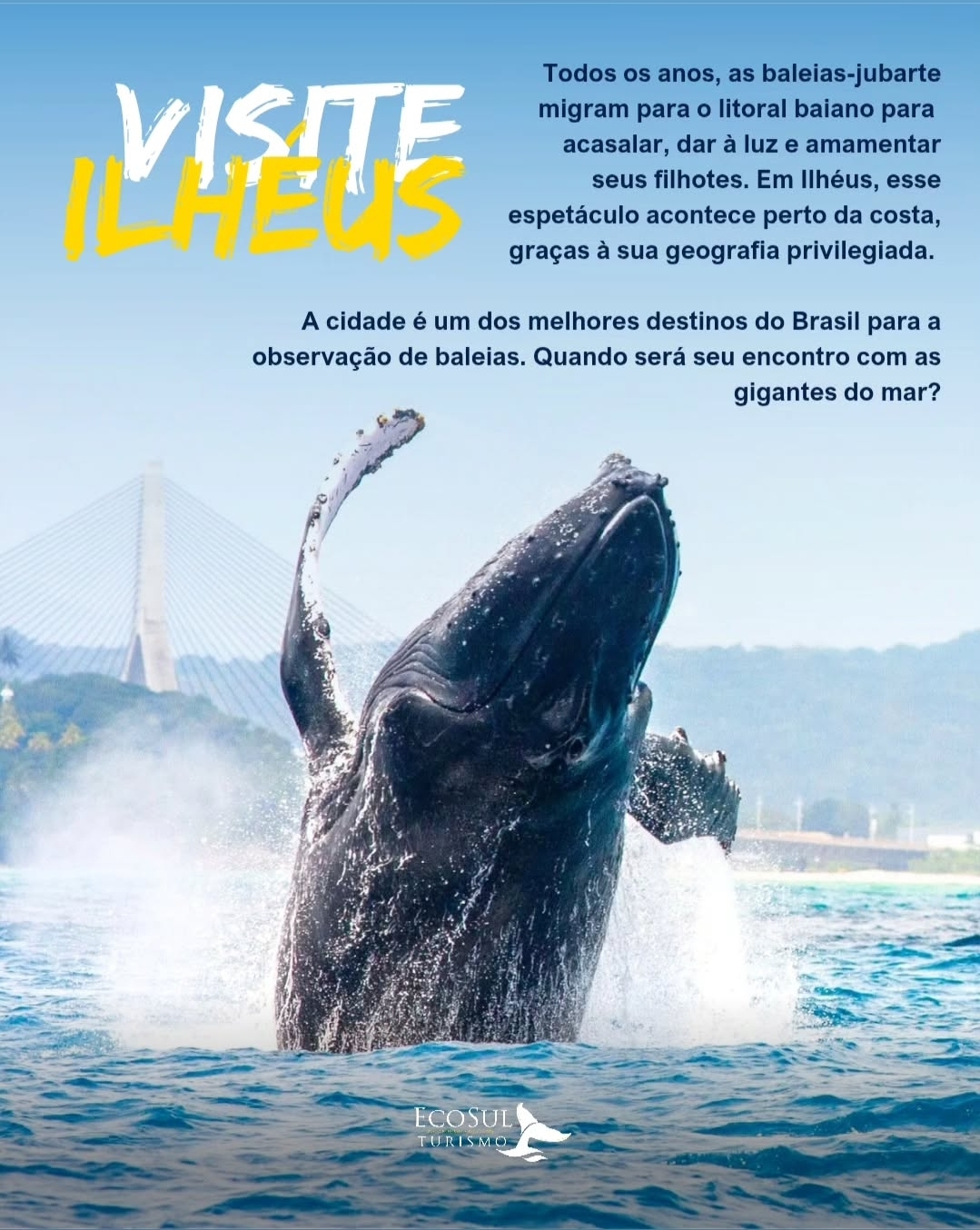 A cidade de Ilhéus se prepara para receber, no dia 8 dejunho, mais uma edição do evento