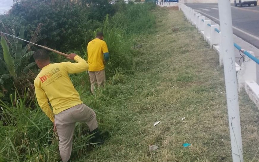 Prefeitura de Ilhéus realiza serviços de capinagem na Rua Amélia Nunes