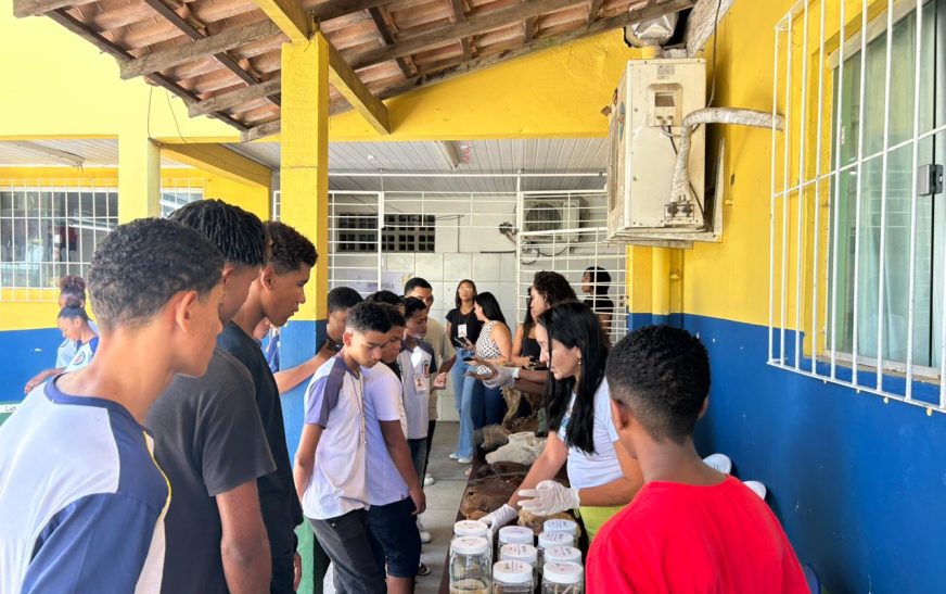 Maramata leva educação ambiental à 1ª Mostra do Conhecimento da Escola Themístocles Andrade