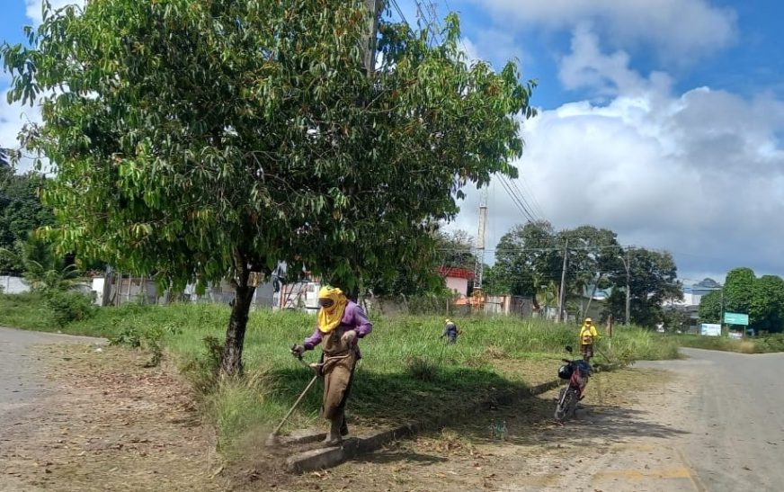 Prefeitura de Ilhéus realiza limpeza e roçagem no Centro Industrial do Iguape