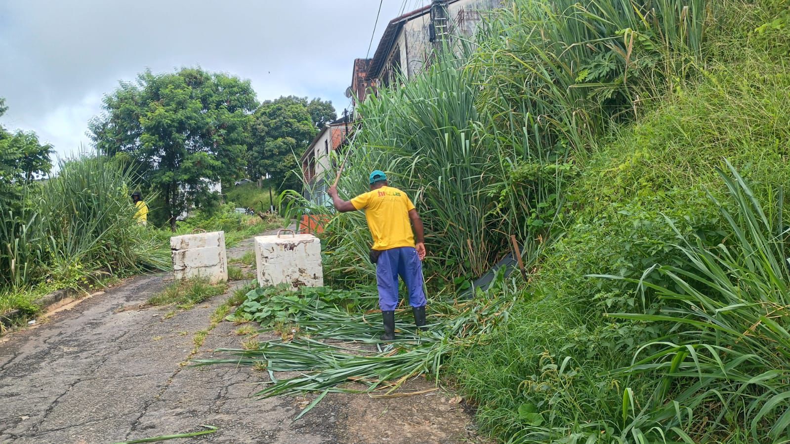 Prefeitura de Ilhéus realiza capinagem na Ladeira do Alto da Tapera