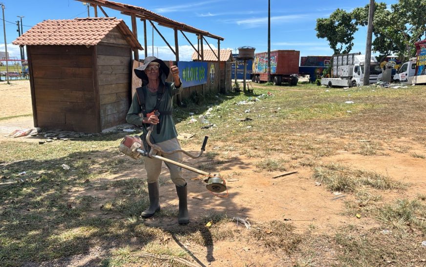 Prefeitura realiza limpeza e roçagem na Avenida Soares Lopes