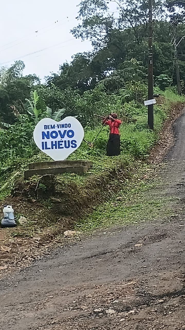 Prefeitura realiza serviços de roçagem e capinagem em Novo Ilhéus