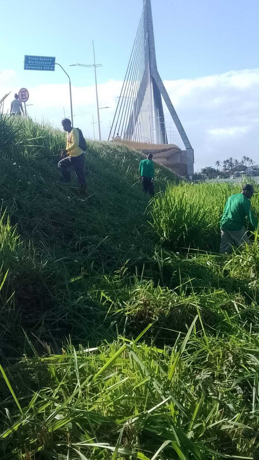 Prefeitura de Ilhéus realiza serviços de roçagem e capinagem na Praia do Cristo e Ponte Jorge Amado