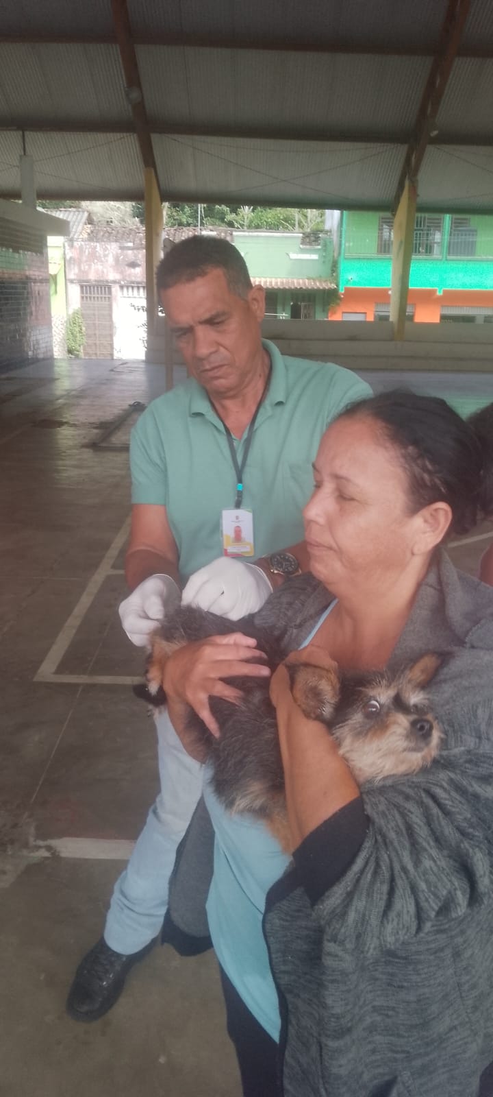 Ilhéus inicia Campanha Nacional de Vacinação Antirrábica para cães e gatos