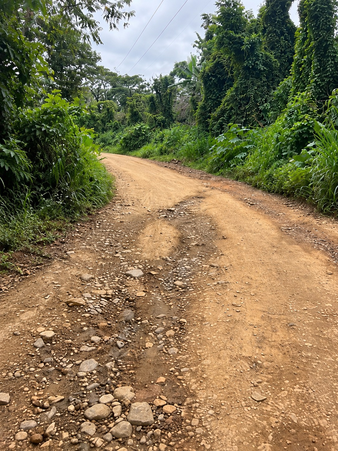 Prefeitura esclarece situação de estrada na Carobeira